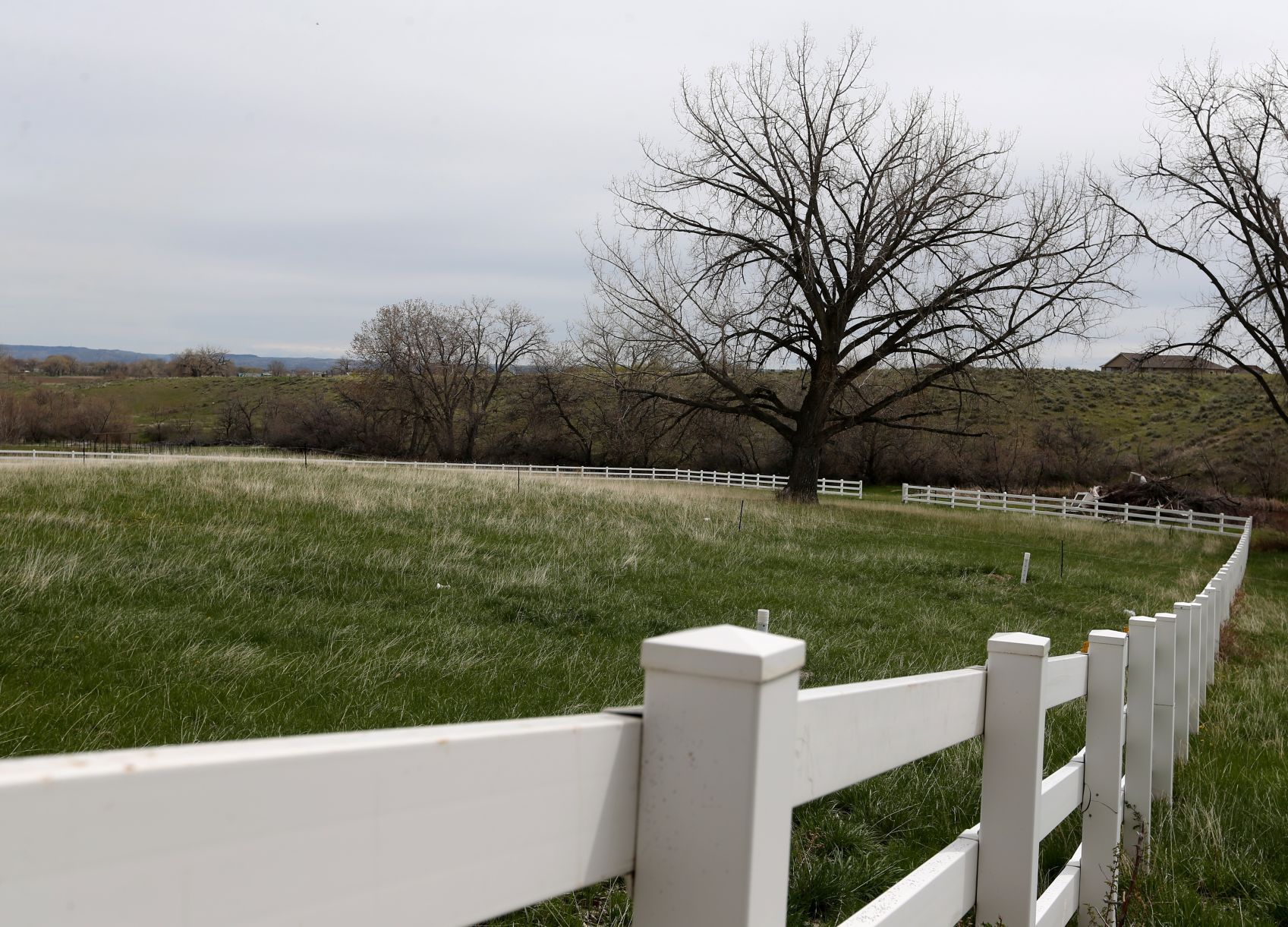 Camelot Ranch